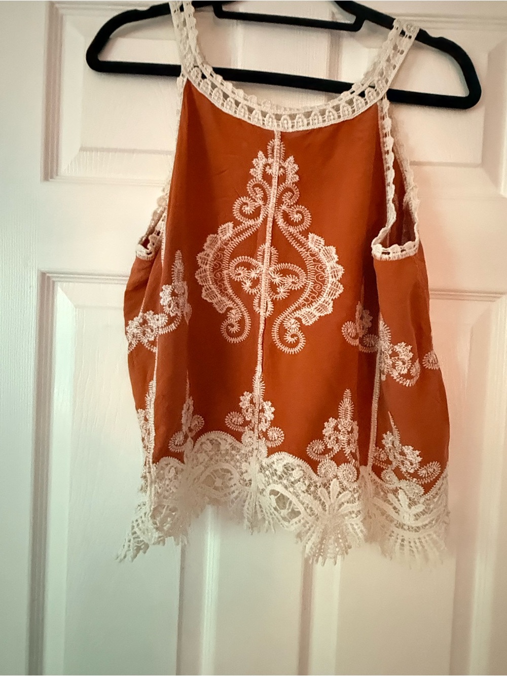 Ultra Pink Rust Camisole with White Lace Embroidery - Picture 4 of 4